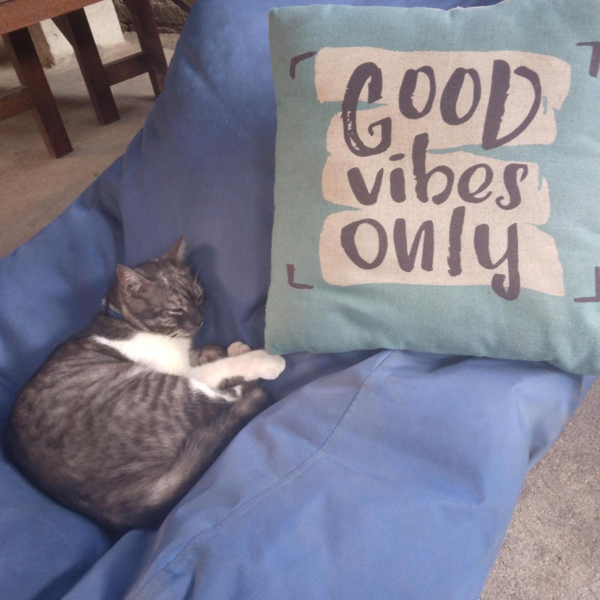Good Vibes Bungalows Gili Trawangan Bagian luar foto